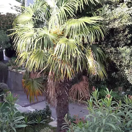 Hotel Centro Giovanile Padre Minozzi