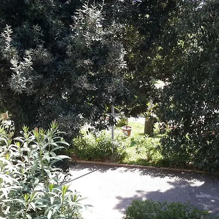 Centro Giovanile Padre Minozzi Отель Поликоро