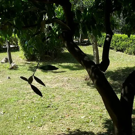 Centro Giovanile Padre Minozzi Hotel