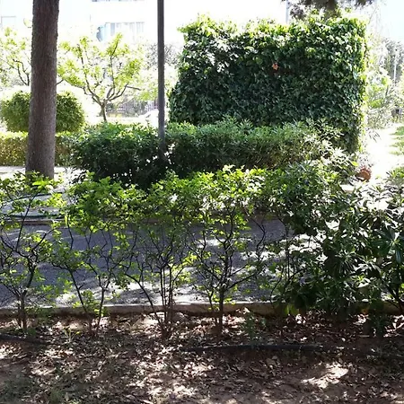 Centro Giovanile Padre Minozzi