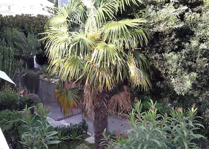 Hotel Centro Giovanile Padre Minozzi