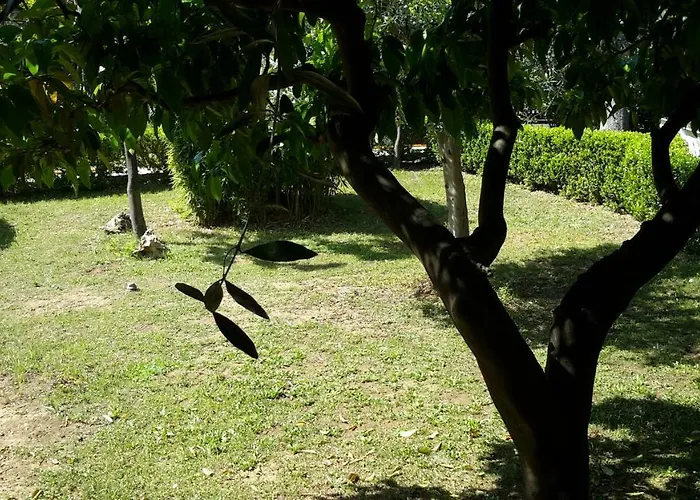 Centro Giovanile Padre Minozzi Hotel