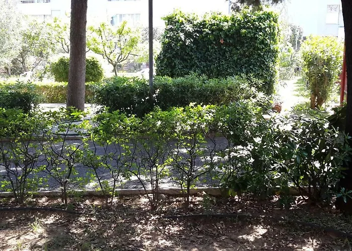 Centro Giovanile Padre Minozzi